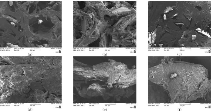 Fig. 3. Scanning electron micrographs of cross section of extruded corn fibers at different moisture content