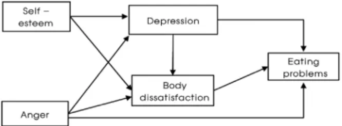 Fig. 1. Theoretical framework하여,  신체 건강에 부정적 영향을 미친다.8  실증적 연구에서 성인초기여성의  콜레스테롤,  당화혈색소 등 대사성 증후군의 지표는 정상이었으나 저체중군과 정상체중군의 혈압은 저혈압에 가깝고,  빈혈 유병률은 높았으며,9  칼슘섭취량이 낮은 성인초기여성은 골밀도가 낮고,  영양섭취부족과 적은 신체활동으로  골건강이  취약한  것으로  보고되고  있다.10이러한 결과에 비춰볼 때,  섭식장애를 성인초기여성