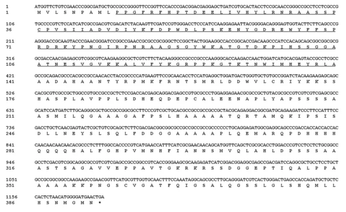 Fig. 1 Nucleotide sequence and deduced amino acid sequence of OsNAC58. Conserved domain of the NAC family was underlined
