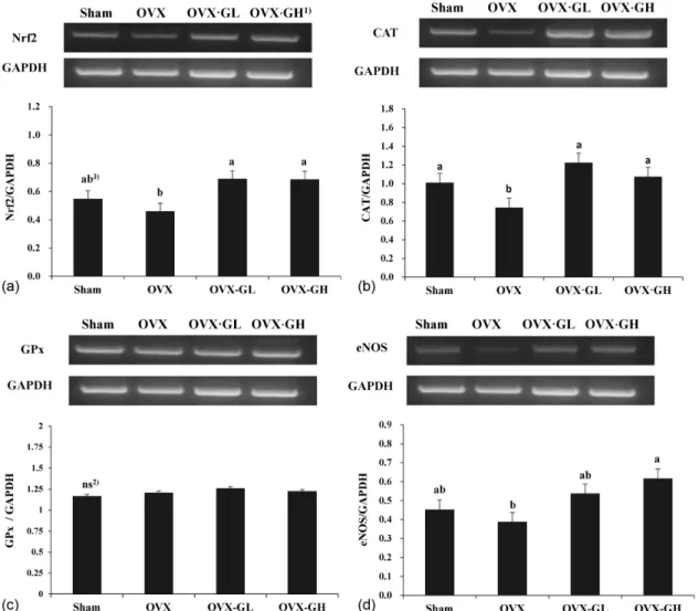 Fig. 3. mRNA expression of Nrf2, CAT, GPx and eNOS in liver of each group. (a) Nrf2; nuclear factor erythroid 2-related factor, (b) CAT;