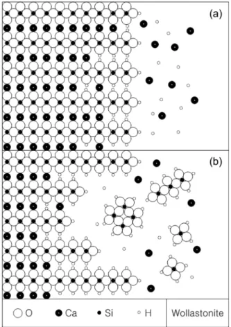 Fig. 1.  Conceptual  model  of  the  steps  involved  in  forming  and  dissolving  the  silica-rich  leached  layer  in  wollastonite