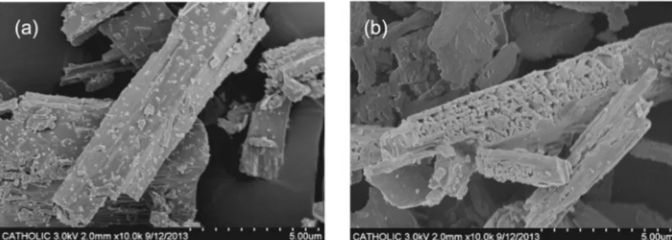 Fig. 8.  Leaching  efficiency  of  Ca  in  wollastonite  by  acetic  acid  solution  (0.46  M)  according  to  temperature  (Wollastonite; 
