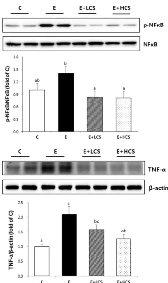 Fig. 6. Effects of Cirsium setidens ethanol extract (CS) on the mRNA levels of SREBP1, FAD, and SCD1 in the liver tissue of  etha-nol-fed rats