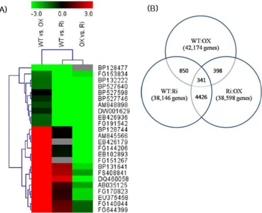 Fig. 1 Microarray investigation of various genes in WT vs. NtROS2a overexpression transgenic line OX1, WT vs