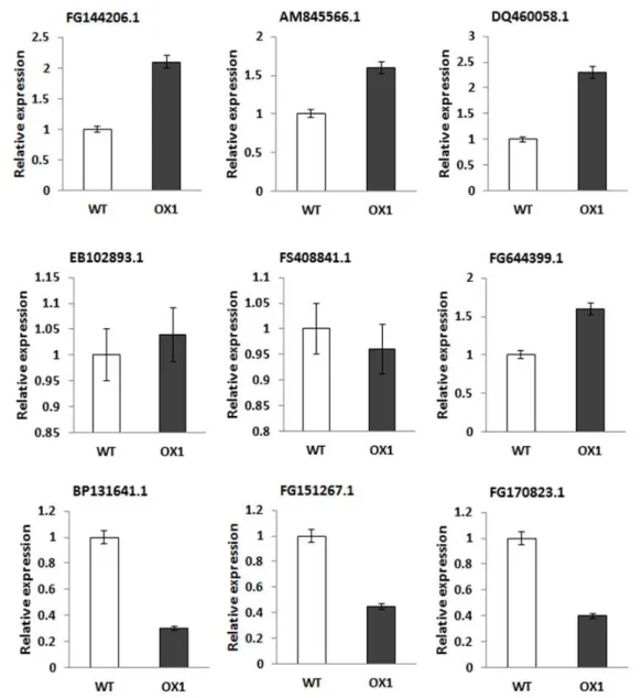 Fig. 3 qRT-PCR analysis of the transcriptional levels of candidate genes identified by microarray analysis of NtROS2a overexpression  transgenic line OX1 vs