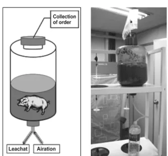 Fig. 1.  The  schematic  diagram  and  the  actual  reactor. 