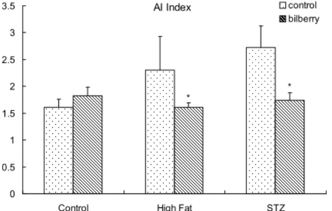 Fig. 2. Effect of bilberry on the HTR index in experimental rats high fat diet and treated with STZ.