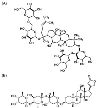 Fig. 1. Chemical structures of (A) ginsenoside Rb1 and (B) digoxin.