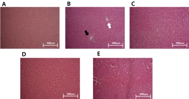 Fig. 5. Histological findings from livers of each groups. The micrographs depict H&amp;E of paraffin-embedded liver slides