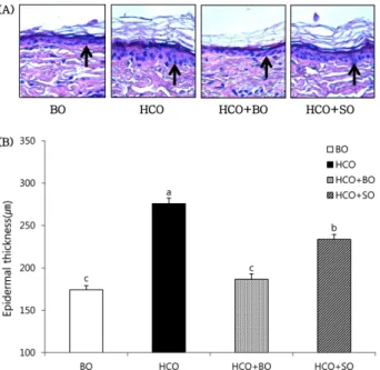 Fig. 1. Effect of dietary oils on epidermal proliferation in guinea pigs. (A) Histological appearance of epidermal proliferation in control guinea pigs fed the borage oil (BO) diet for 10 wks (group BO), and essential fatty acid (EFA) deficient guinea pigs