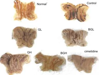 Table 1. Effect of ginger extracts on the changes of gastric injury in HCl-ethanol induced SD-rats