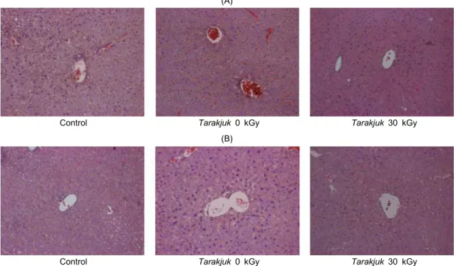 Fig. 1. Histopathological examination of the liver of ICR mouse administered with Tarakjuk irradiated at 30 kGy for 3 months,