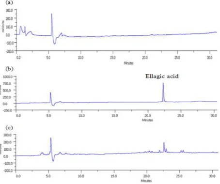 Fig. 1. Chromatogram of (a) blank, (b) ellagic acid standard solution and (c) Gochang Bokbunja extract.