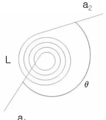 Fig.  2.  Shape  of  spring.