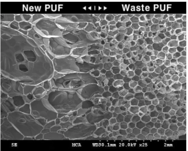 Fig.  4  SEM  photo  of  PUF  (new/recycled)  containing              30  wt%  of  3  cm  cube.