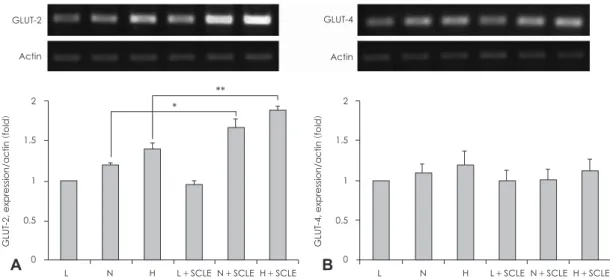 Fig. 3. Measurement of GLUT-2, -4 mRNA expression. A: Effect of a Smilax china L. leaf extract (SCLE) treatment on GLUT-2 mRNA ex- ex-pression in HepG2 cells