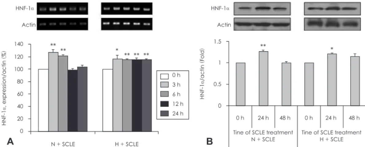 Fig. 5. Measurement of HNF-1α mRNA and protein expression. A: Effect of a Smilax china L