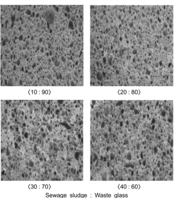 Fig. 3.  The  surface  state  on  the  mixing  ratio  of  calcination  tem- tem-perature  (750℃)