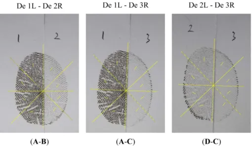 Fig. 1. Images of combined whole fingerprints for densitometric image analysis with standard line.