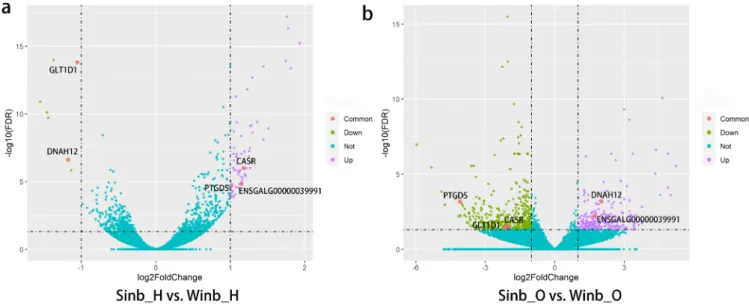 Table 2.  Top five most differentially expressed genes ranked by false discovery rate values in each tissue