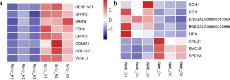 Figure 5.  Heatmap of some of differentially expressed genes (DEGs) in hypothalamus (a) and ovary (b)