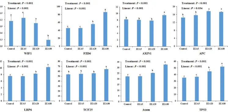 Figure 3.  The mRNA expression of Wnt/β-catenin signaling pathway related genes in porcine endometrial epithelial cells (PECs) exposed to ZEA 