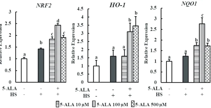 Figure 3.  Effect of 5-ALA on the expression of oxidative stress-related genes during HS