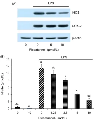 Fig. 2. Effects of piceatannol on viable Raw264.7 cell number.