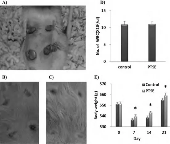 Figure 1. Quantitative analysis of diameter in wound area. (A) Wounds on the back of a rat made by skin punch
