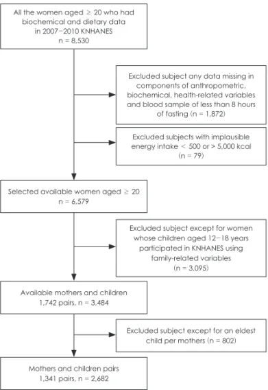 Table 1. General and metabolic syndrome characteristics in mothers and adolescent children