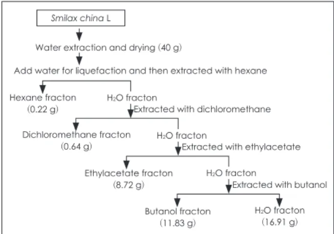 Fig. 1. Extraction and fractionation of Smilax china L. leaf extracts  (SCLE) by using various solvents.