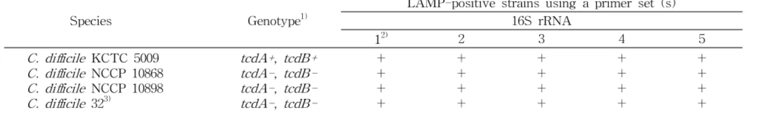 Table 2. Results of LAMP assays for detection of the 16S rRNA gene