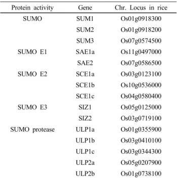 Table 1 The components of SUMO conjugation and SUMO  deconjugation in rice