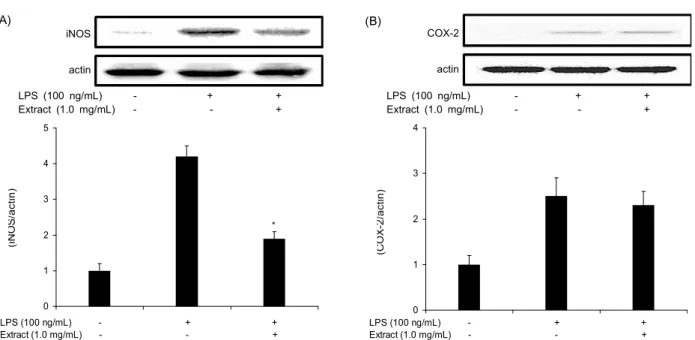 Fig. 4. Effect of water extract on LPS-induced iNOS (A) and COX-2 (B) expression in RAW264.7 cells