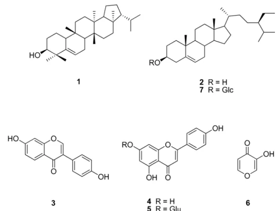 Fig. 1. Structures of compounds 1-7 from the roots of  Erigeron annuus .