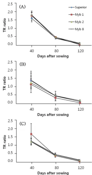 Fig. 4 Changes in TR ratios of wild type (cv. Superior) and  transgenic potato lines (Myb 1, Myb 2, and Myb 8) grown  under conventional irrigation (A), drought (B), and severe  drought (C) conditions