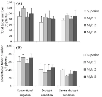 Fig. 7 Rate of tuber under 50 g (A) and marketable tuber rate  (B) in wild type (cv. Superior) and transgenic potato lines (Myb  1, Myb 2, and Myb 8) grown under conventional irrigation,  drought, and severe drought condition