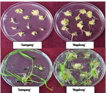 Table 1 Analysis of variance for traits in ‘Samgang’ and ‘Nagdong’ cultivars and DH population