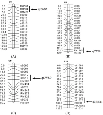 Fig. 3 Chromosome location of QTLs related to callus weight  per seed (A, B, C and D)