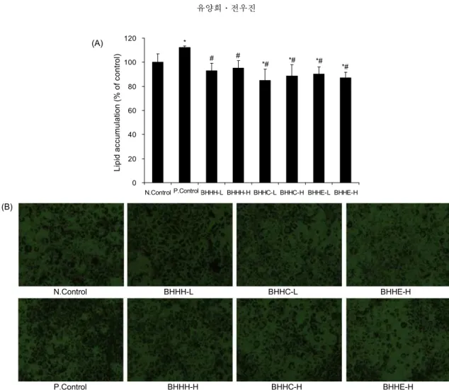 Fig. 2. Inhibitory effects of three fractions from Benincasa hispida on the lipid accumulation in 3T3-L1