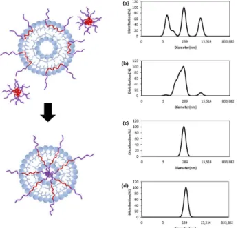 Figure  4.  Size  changes  of  the  mixed  vesicles  during  the  formation  of  vesicles,  after  (a)  0  h,  (b)  12  h,  (c)  24  h,  and  (d)  48  h.