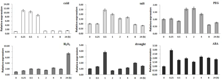 Fig. 4 Quantitative RT-PCR analysis after application of different stresses. Expression of BrUGT in the Chinese cabbage seedlings  under 4℃ cold, 250 mM NaCl, 15% PEG6000, 3% H 2 O 2 , drought and 100 μM ABA