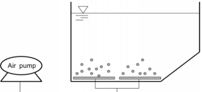 Fig.  1.  Schematic  diagram  of  activated  sludge  batch  reactor.