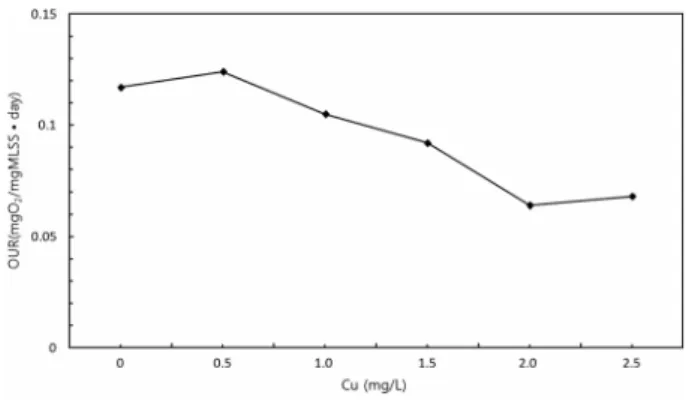Fig.  12.  Result  of  the  OUR  test  (CSTR).