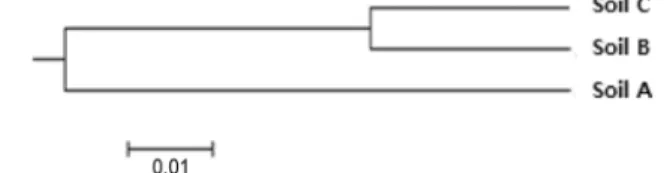Fig.  3.  Comparison  of  microbial  community  in  animal  carcass  disposal  soils  using  UniFrac  method.