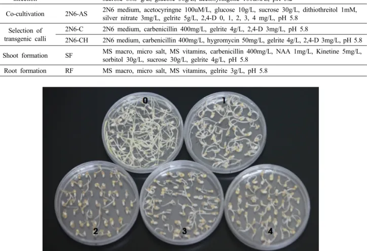 Fig. 3 Callus induction of Gopumbyeo as affected by 2,4-D concentrations in N6D medium after 7 days of inoculation