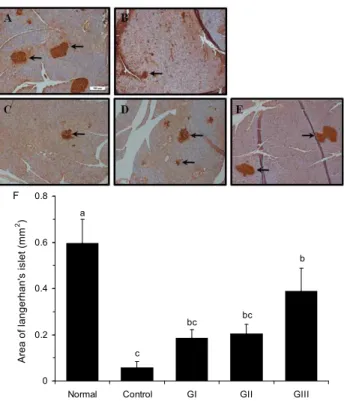 Fig. 6. Effects of yacon on change insulin in type I diabetic model induced by STZ. Results with different letters are  sig-nificantly different (p<0.05)