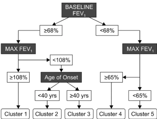 Figure  2.  Tree  analysis.  Using  three  variables  (baseline  FEV 1   [with  a  bronchodilator  withhold],  maximal  "Max" 