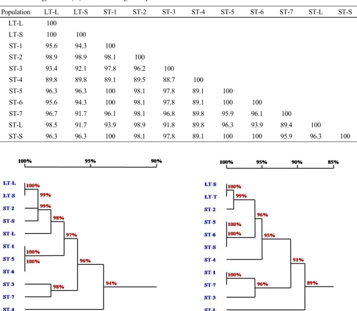 Fig. 2 Phylogenetic tree constructed by total ITS region sequences  of nine populations of O