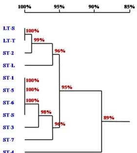 Fig. 4 Phylogenetic tree constructed by ITS2 region sequences of  nine populations of O
